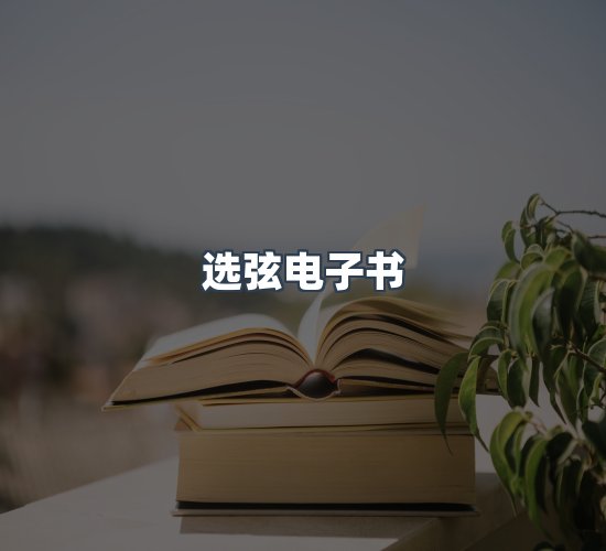 关于选弦电子书